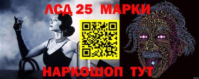 a pvp Новодвинск