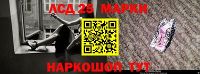 a pvp Новодвинск