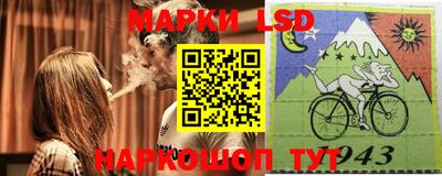 a pvp Новодвинск