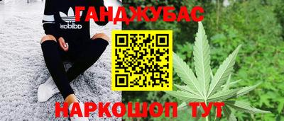 a pvp Новодвинск