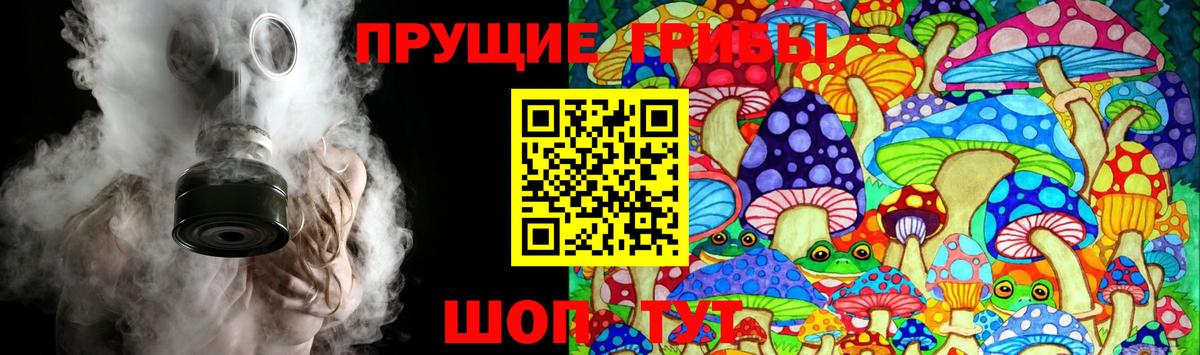 Галлюциногенные грибы Cubensis  Вход с VPN  Россошь 